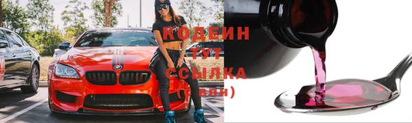шишки Корсаков
