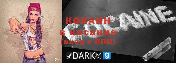 шишки Корсаков