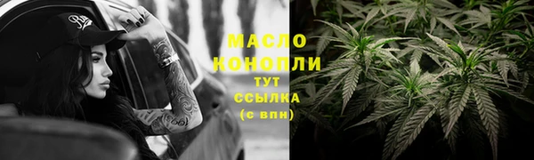 шишки Корсаков