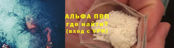 шишки Корсаков