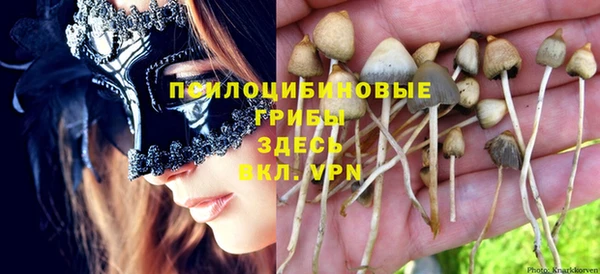 гидропоника Красноперекопск