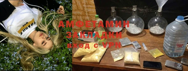 шишки Корсаков