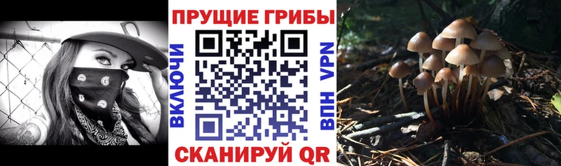 Галлюциногенные грибы Cubensis  наркота  Афипский 